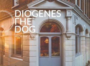 Diogenes The Dog