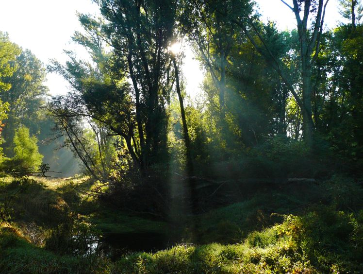 Národní park Donau-Auen