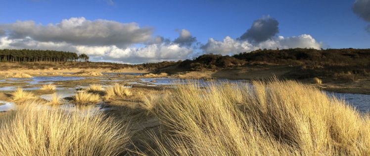 Národní Park Zuid-Kennemerland