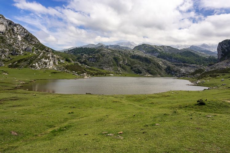 Picos de Europa