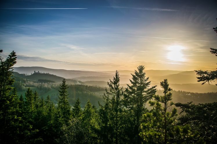 Národní park Šumava